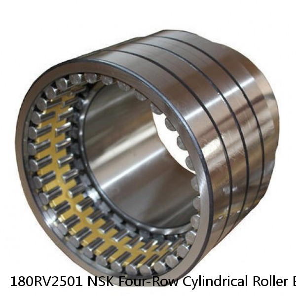 180RV2501 NSK Four-Row Cylindrical Roller Bearing