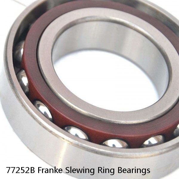 77252B Franke Slewing Ring Bearings