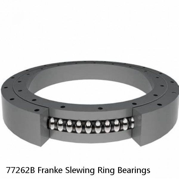 77262B Franke Slewing Ring Bearings