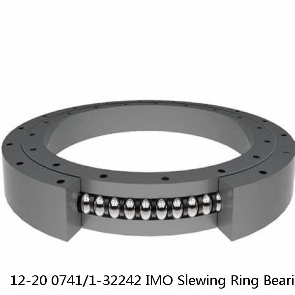 12-20 0741/1-32242 IMO Slewing Ring Bearings