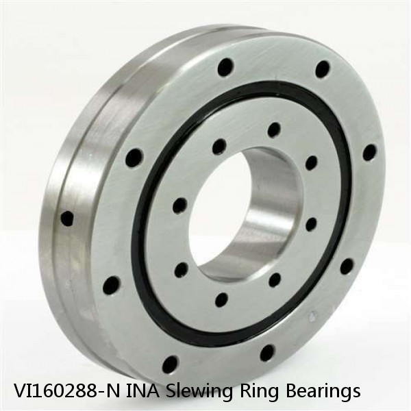 VI160288-N INA Slewing Ring Bearings