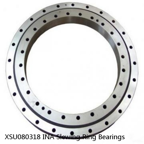 XSU080318 INA Slewing Ring Bearings