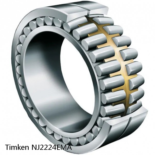 NJ2224EMA Timken Cylindrical Roller Bearing